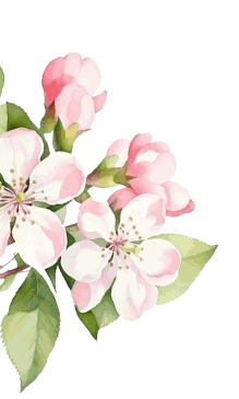 flower decor